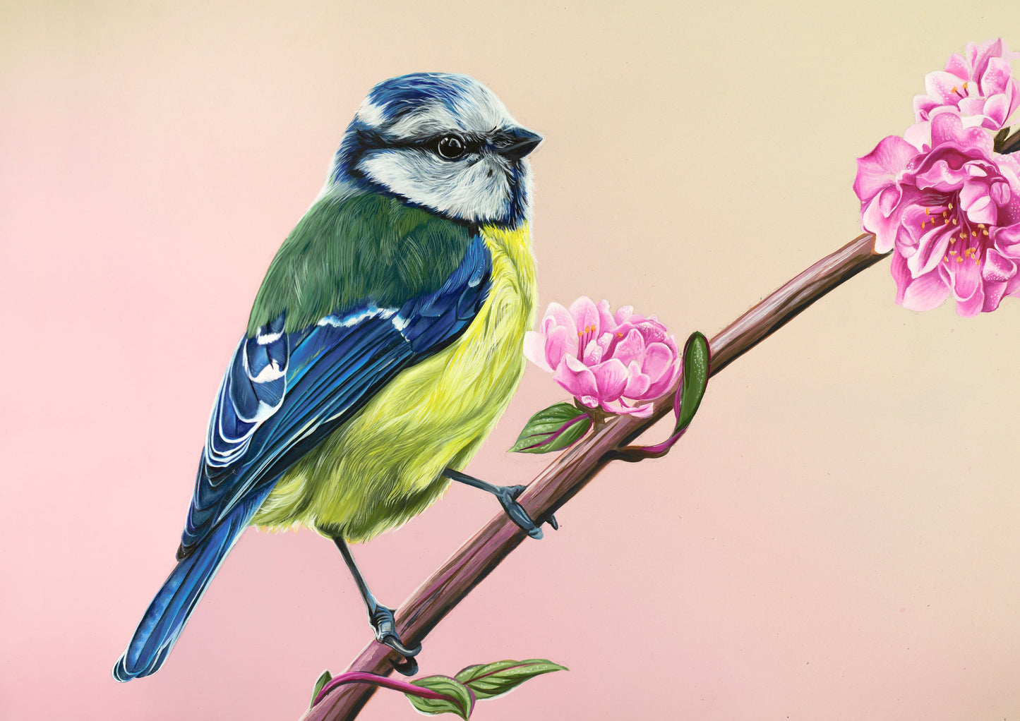 BLUETIT Giclee Print
