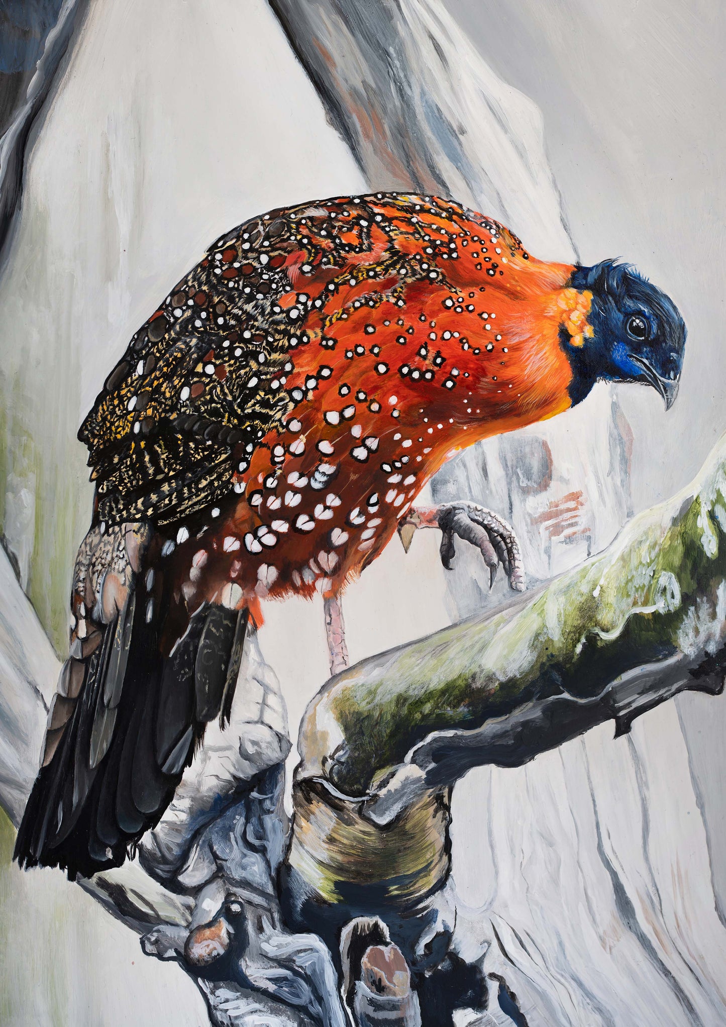 Satyr Tragopan Giclee Print