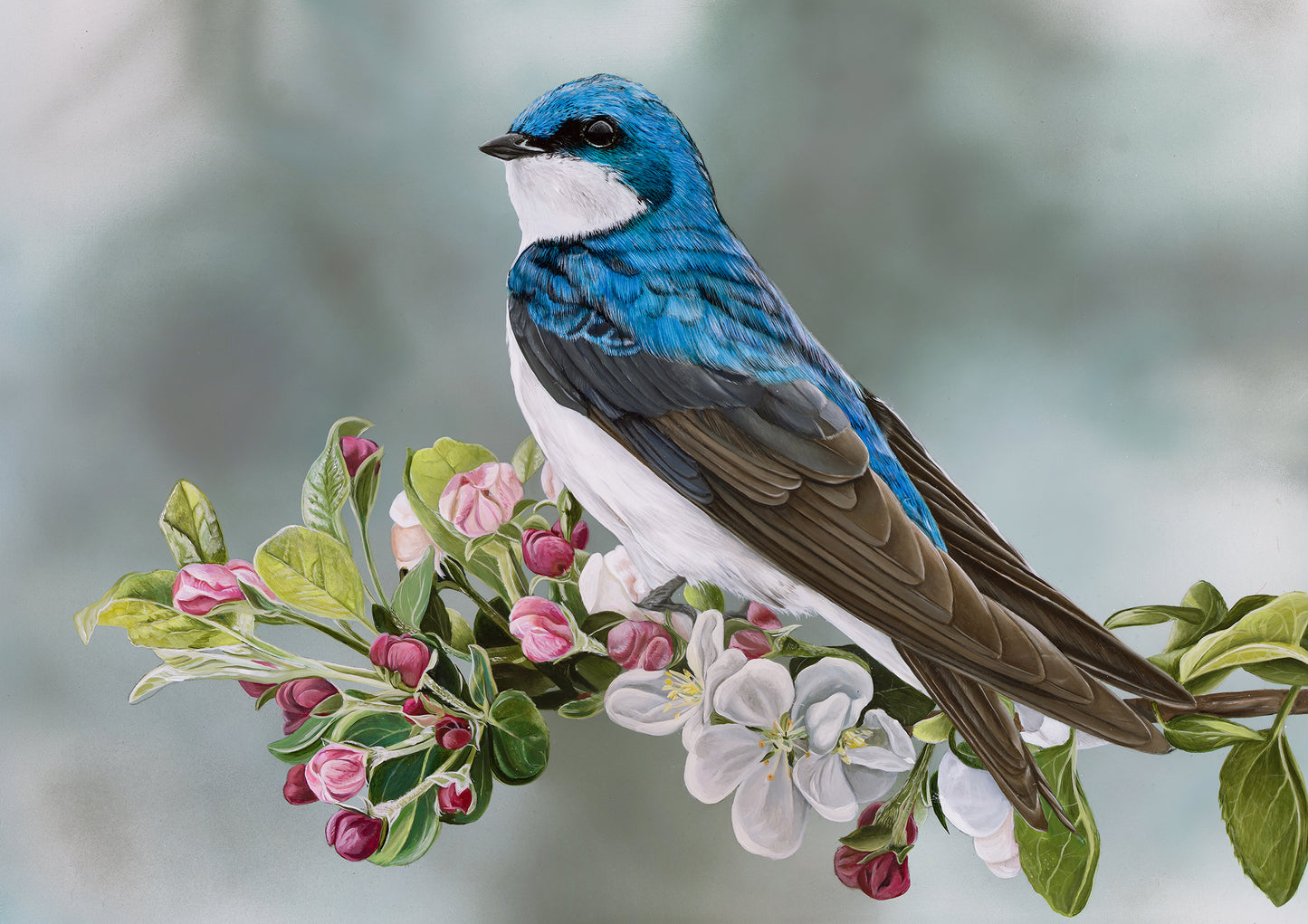 Swallow in Spring Giclee Print