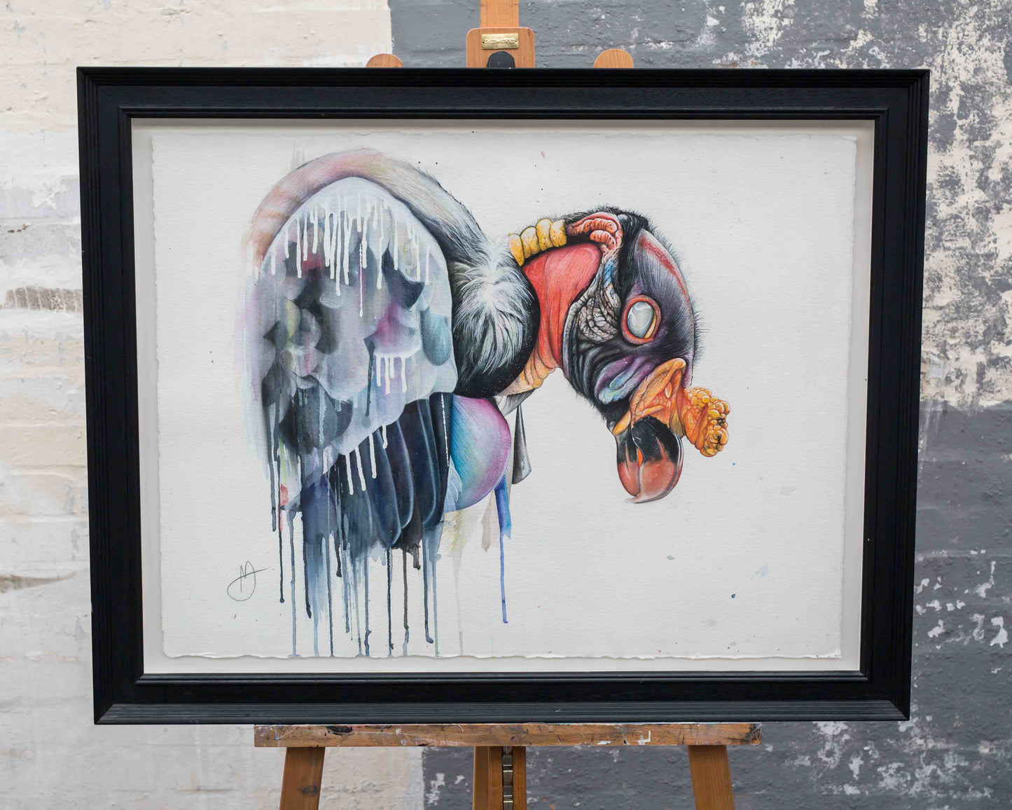 King Vulture
