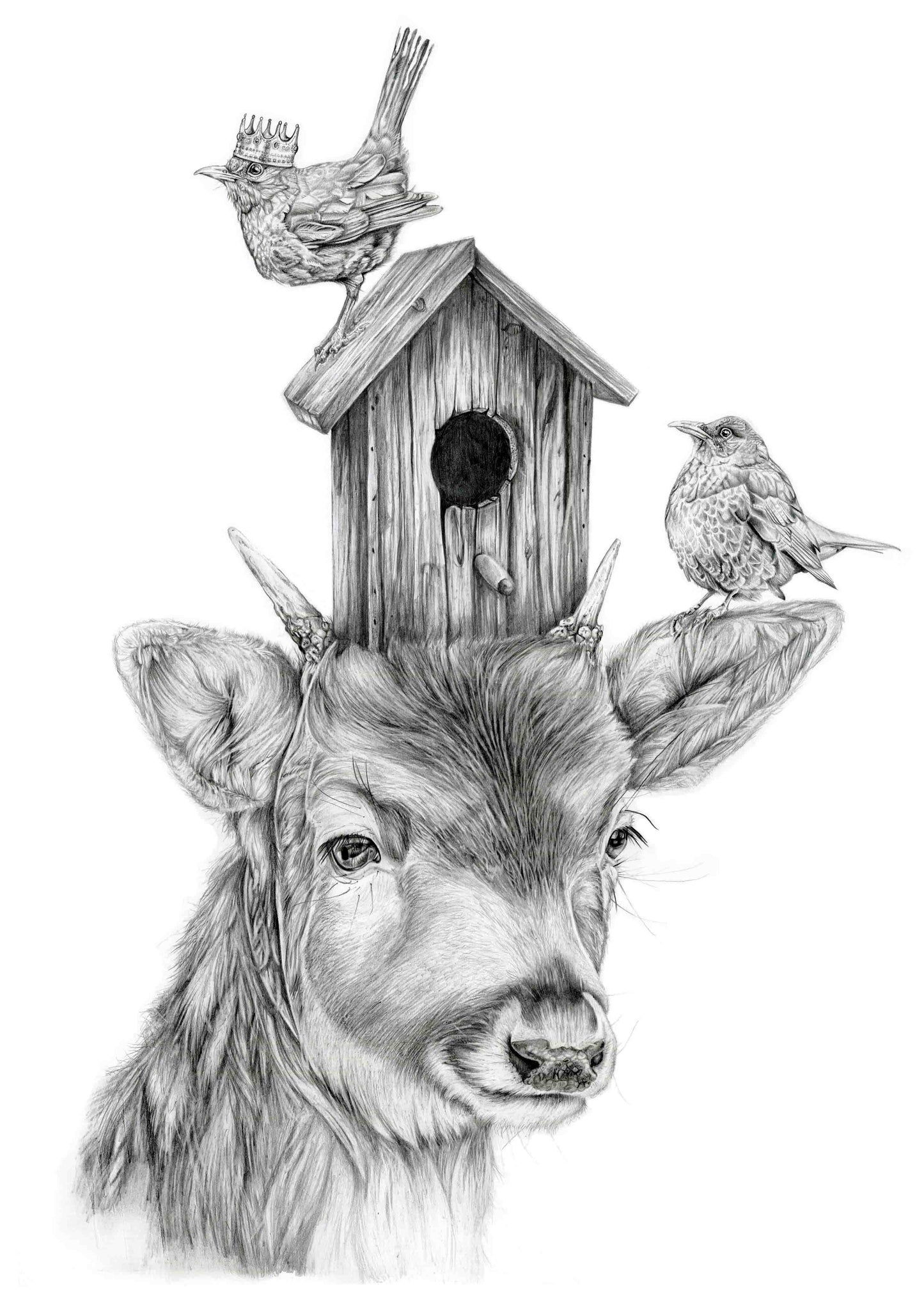 "Blackbird King" Archival Quality Giclee print