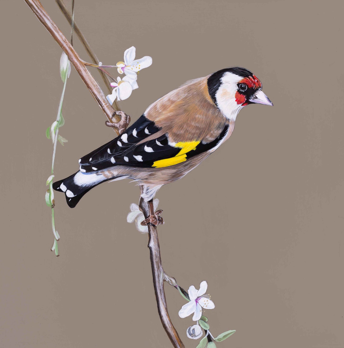 Goldfinch and blossoms (FRAMED OPTION) Giclee print