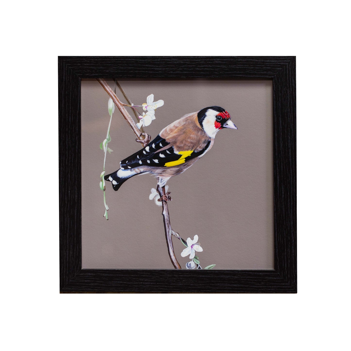 Goldfinch and blossoms (FRAMED OPTION) Giclee print