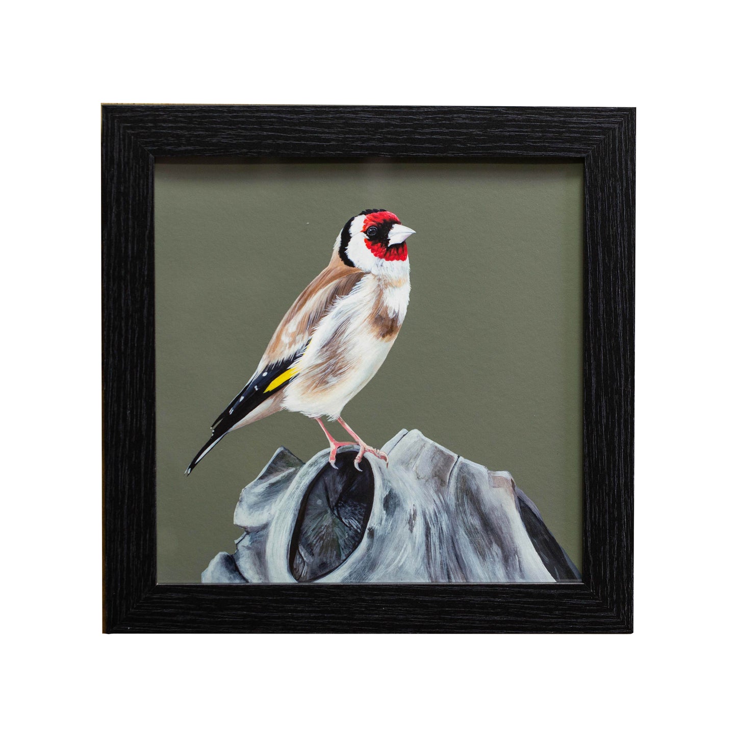 Goldfinch, the little poet, (FRAMED OPTION) Giclee print