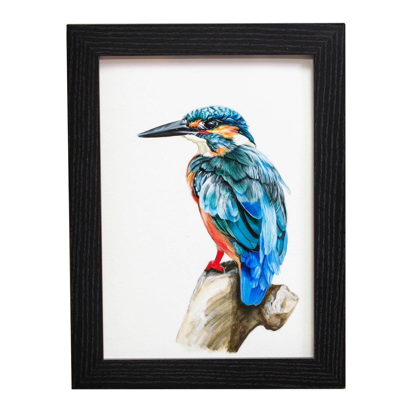 KING FISHER (FRAMED OPTION) Giclee print