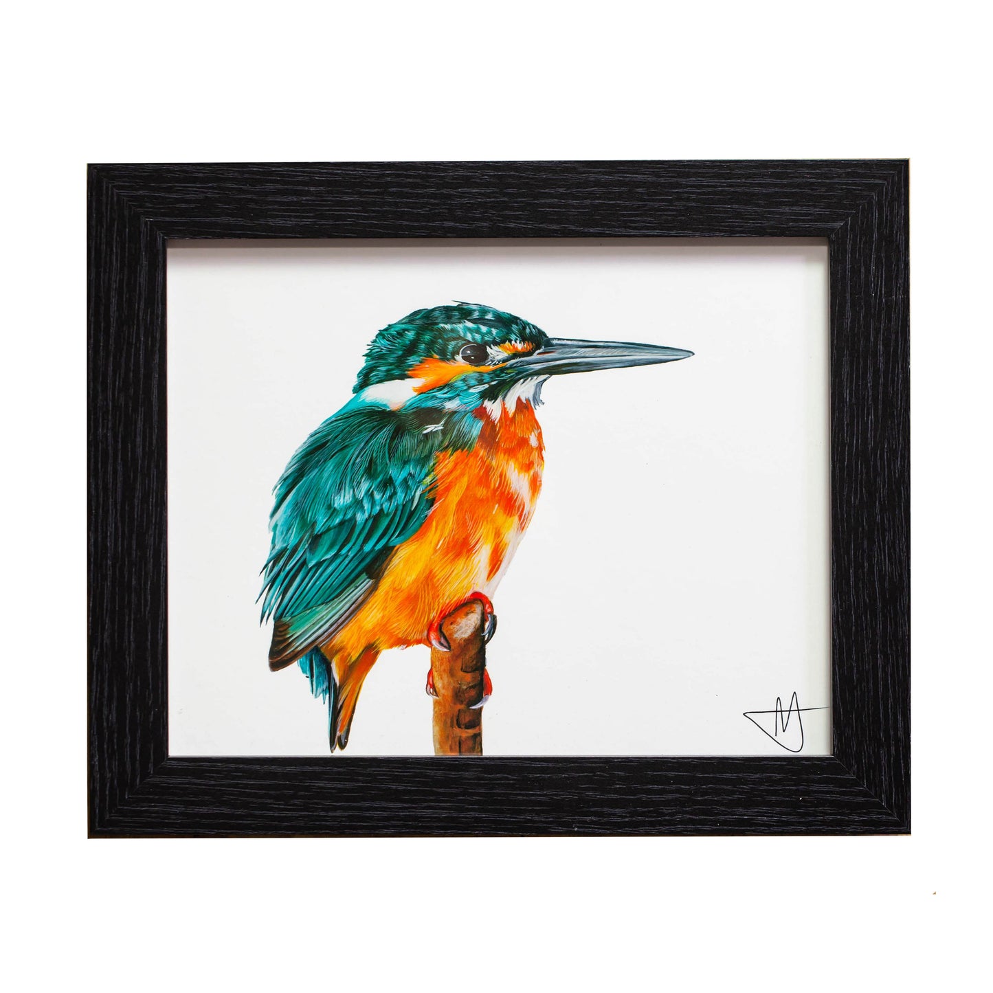 KingFisher II (FRAMED OPTION) Giclee print