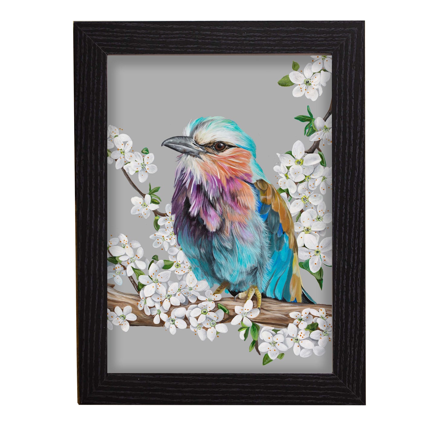 Lilac Breasted Roller with Flowers Giclee Print