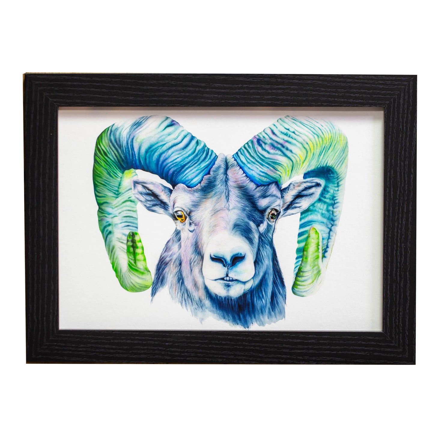 "RAM" Archival Quality Giclee print