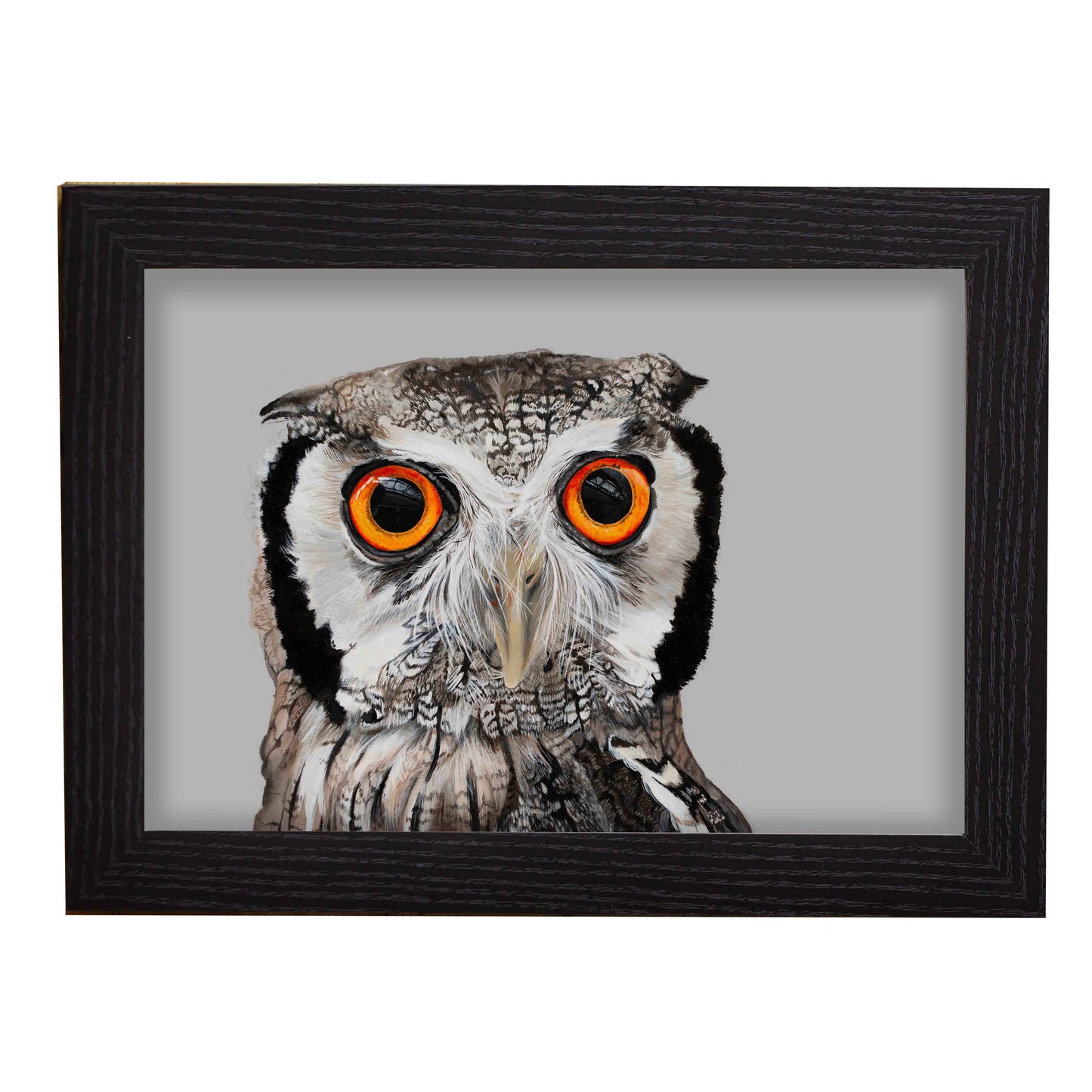 White faced Owl A4 (FRAMED OPTION) Giclee print