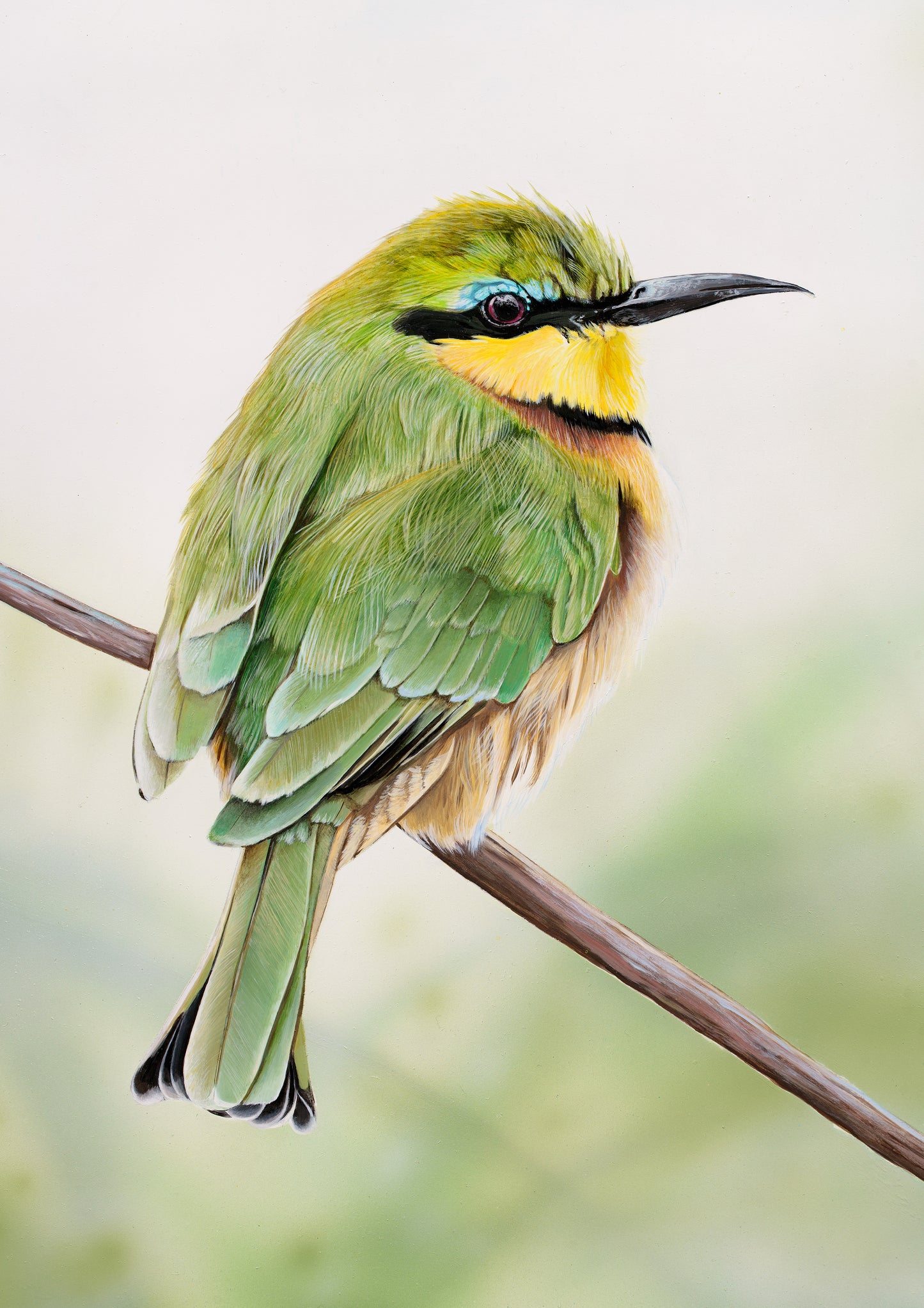 Bee-Eater on Twig Giclee Print