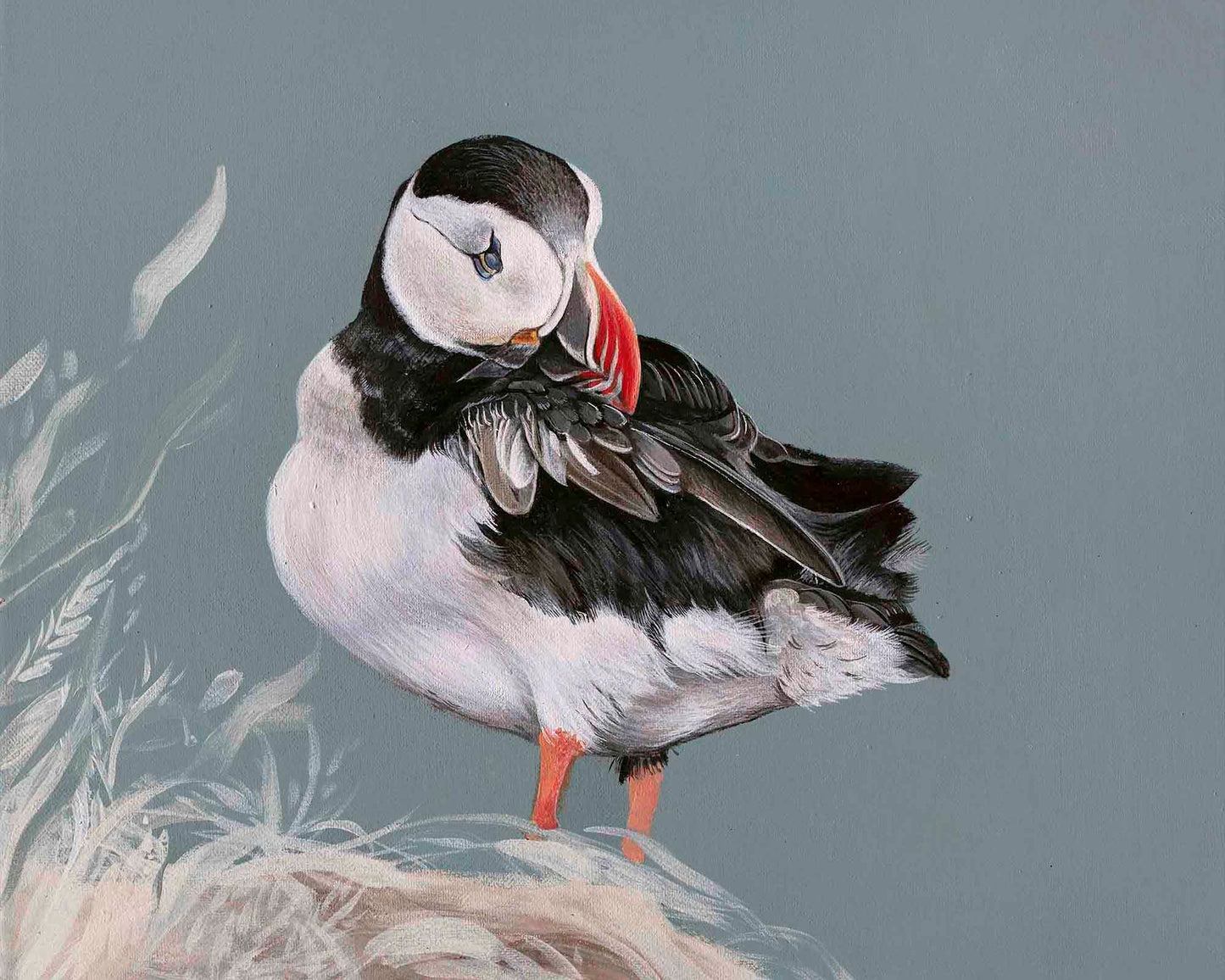 Puffin Grooming Giclee print