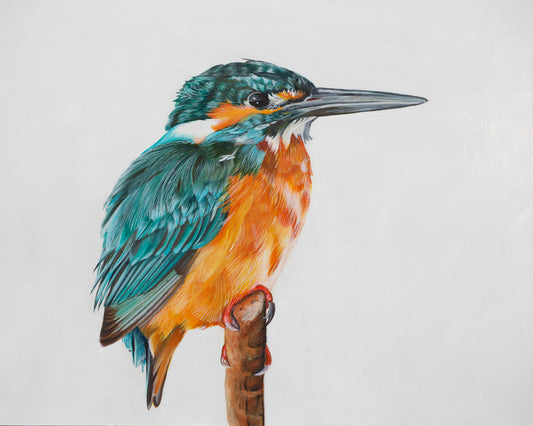 Kingfisher Acrylic Painting