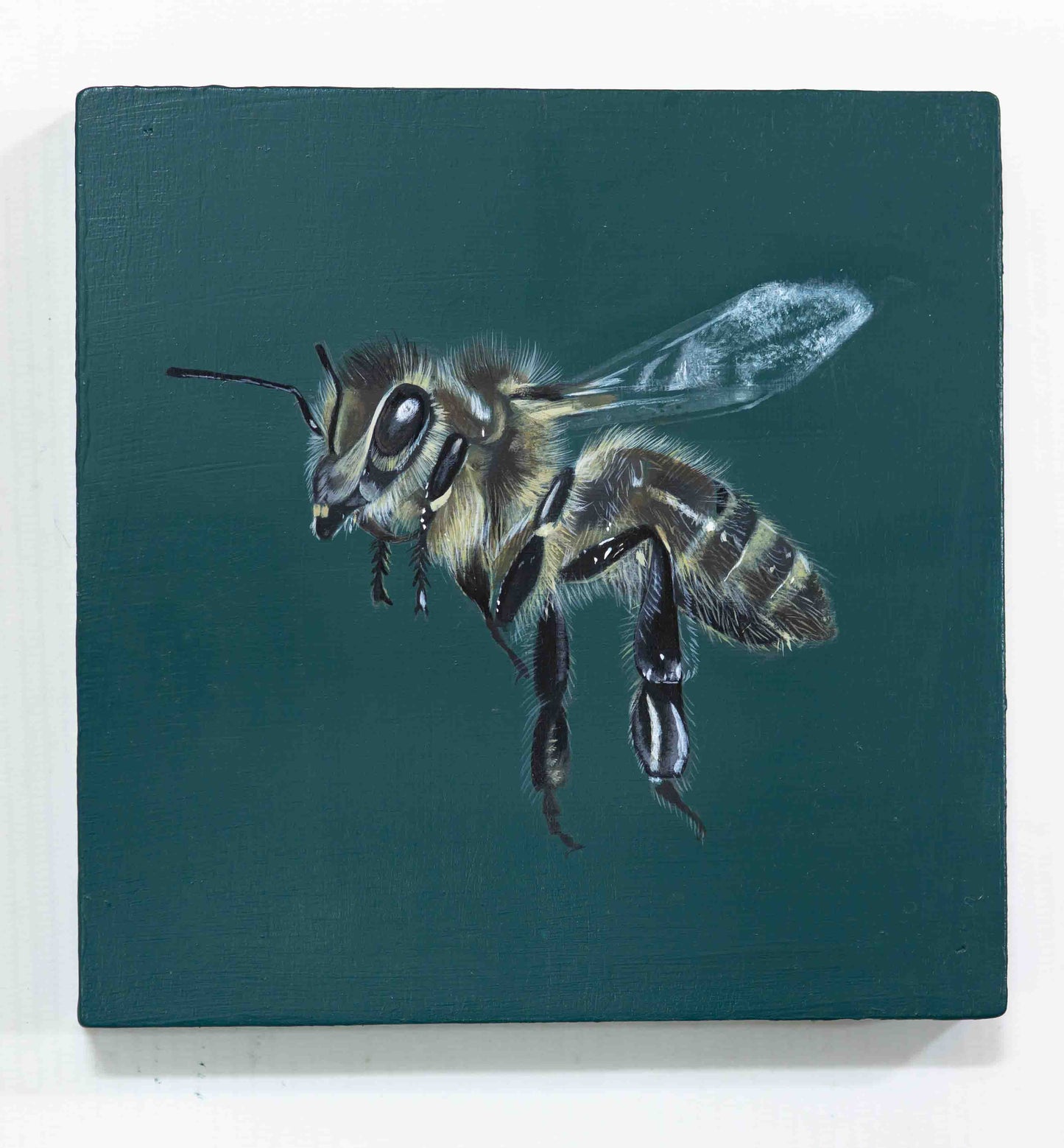 Honey Bee Acrylic Painting
