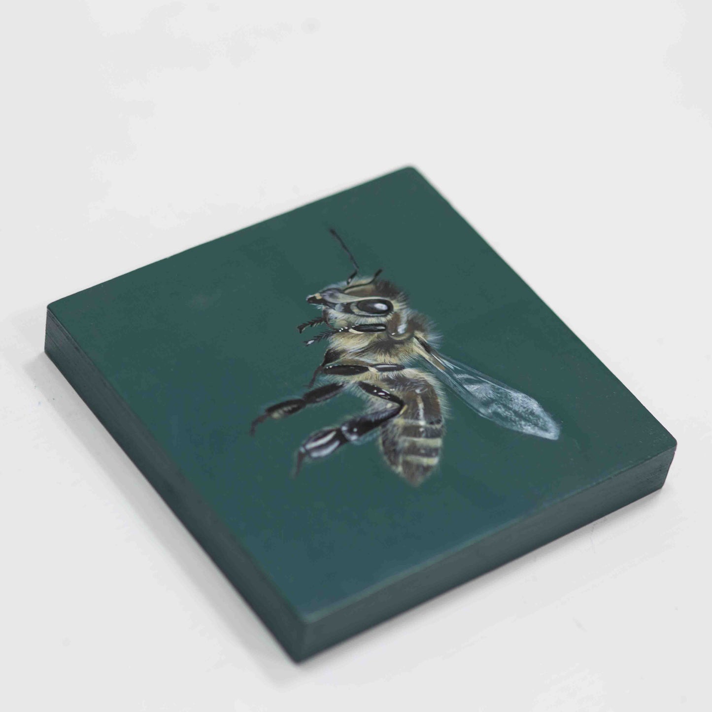 Honey Bee Acrylic Painting