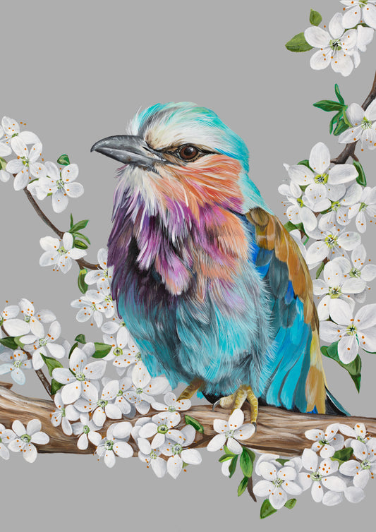 Lilac Breasted Roller with Flowers Giclee Print