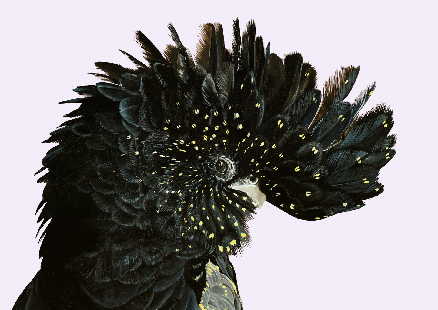 PATREON PRINT TOKEN