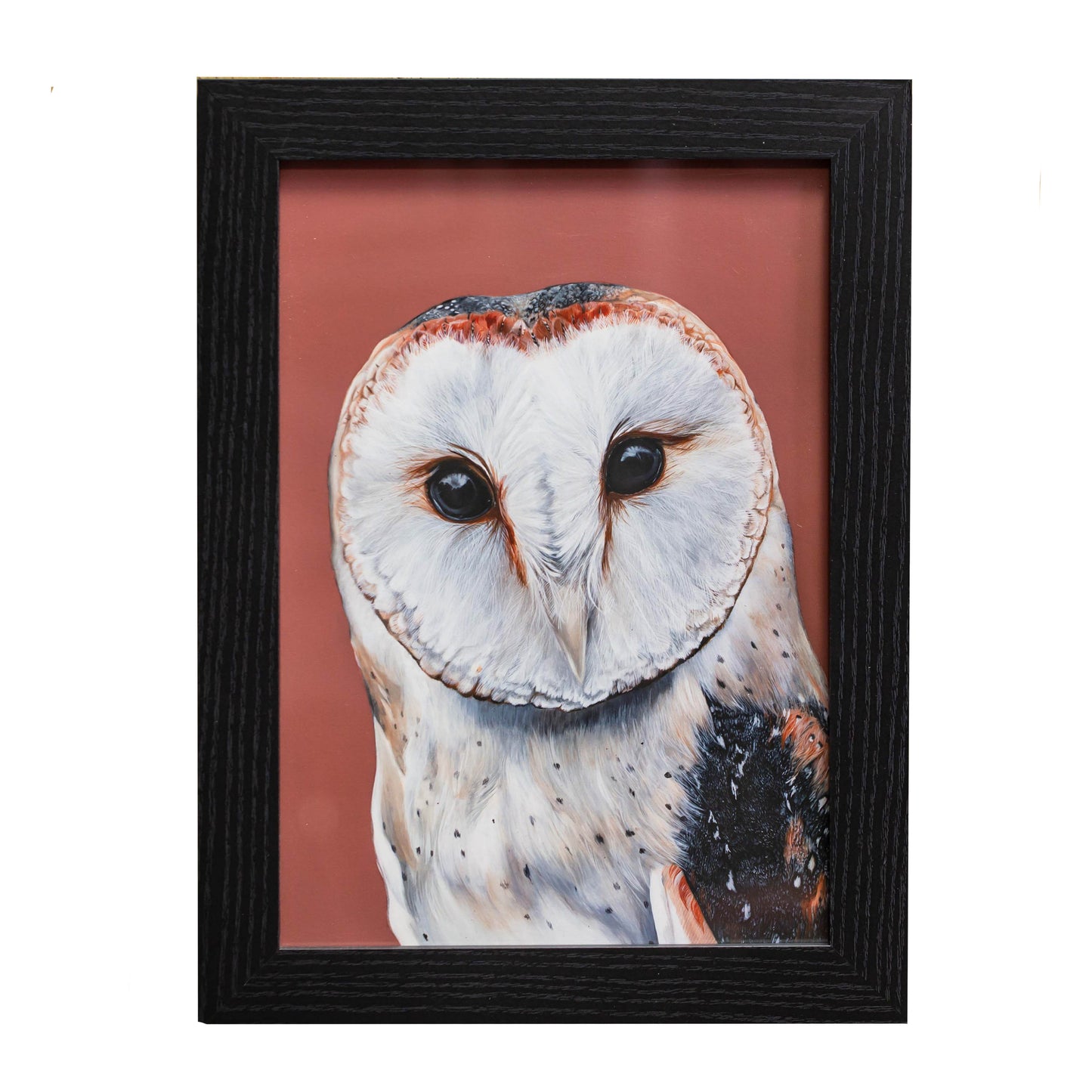 Barn Owl Giclee print