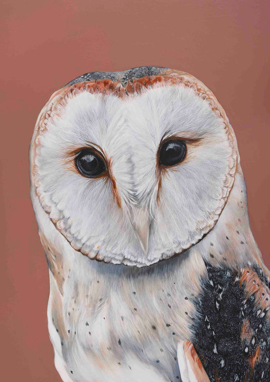 Barn Owl Giclee print