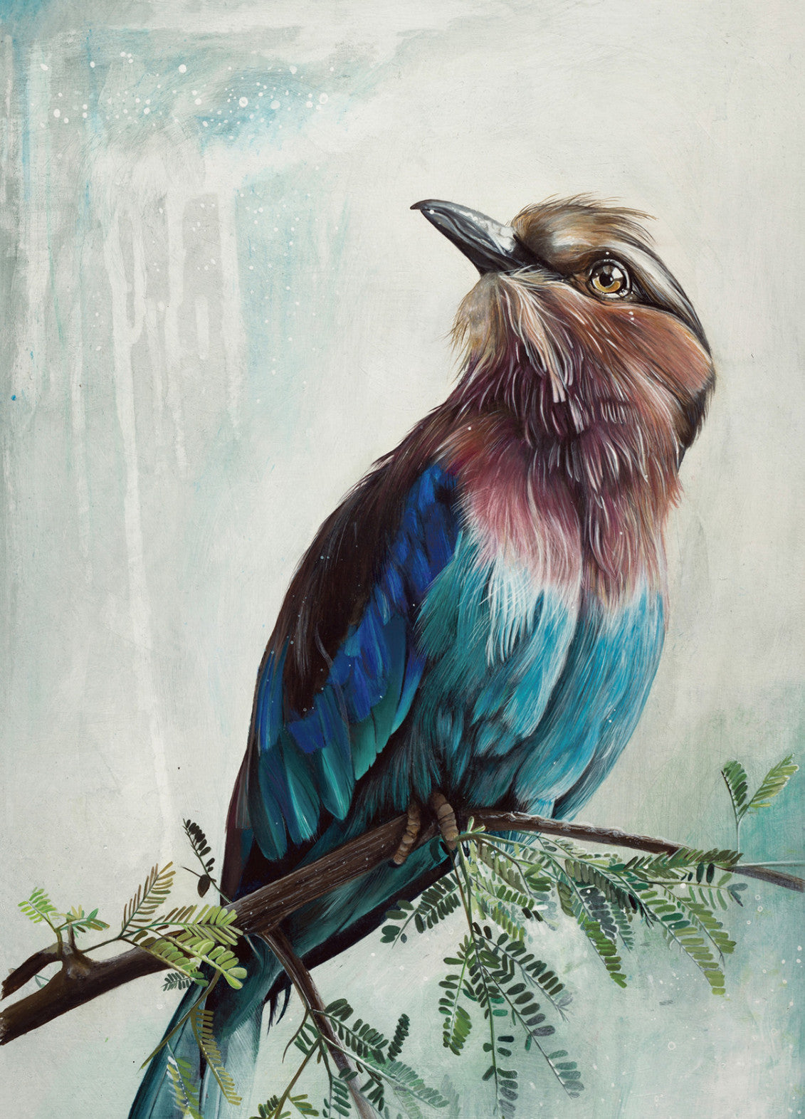 Lilac Chested Birdie Limited Edition Giclee print
