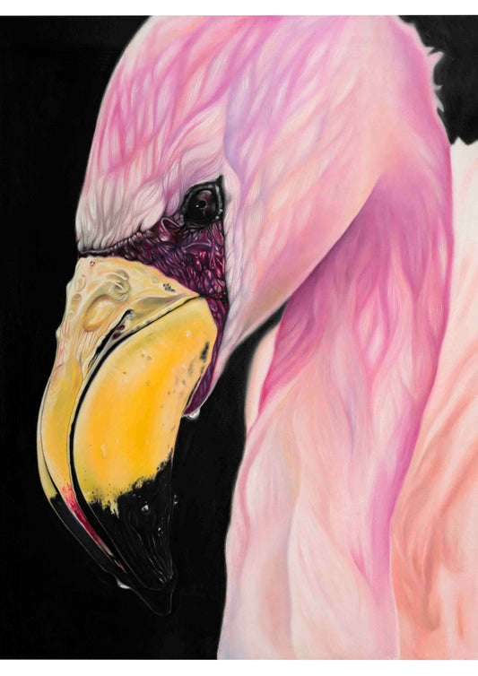 Flamingo Dreams Giclee Print