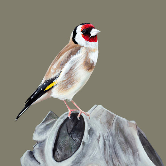 Goldfinch, the little poet, (FRAMED OPTION) Giclee print