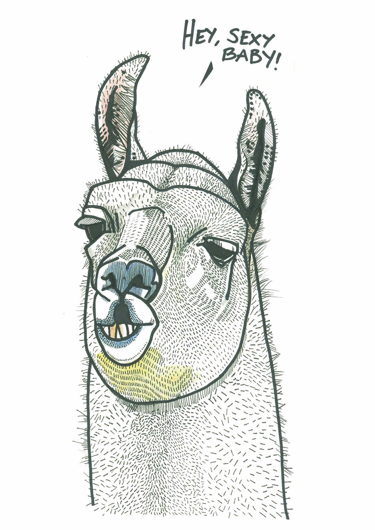 Lama A3 print