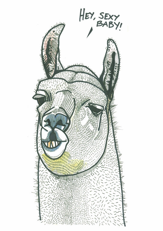 Lama A3 print