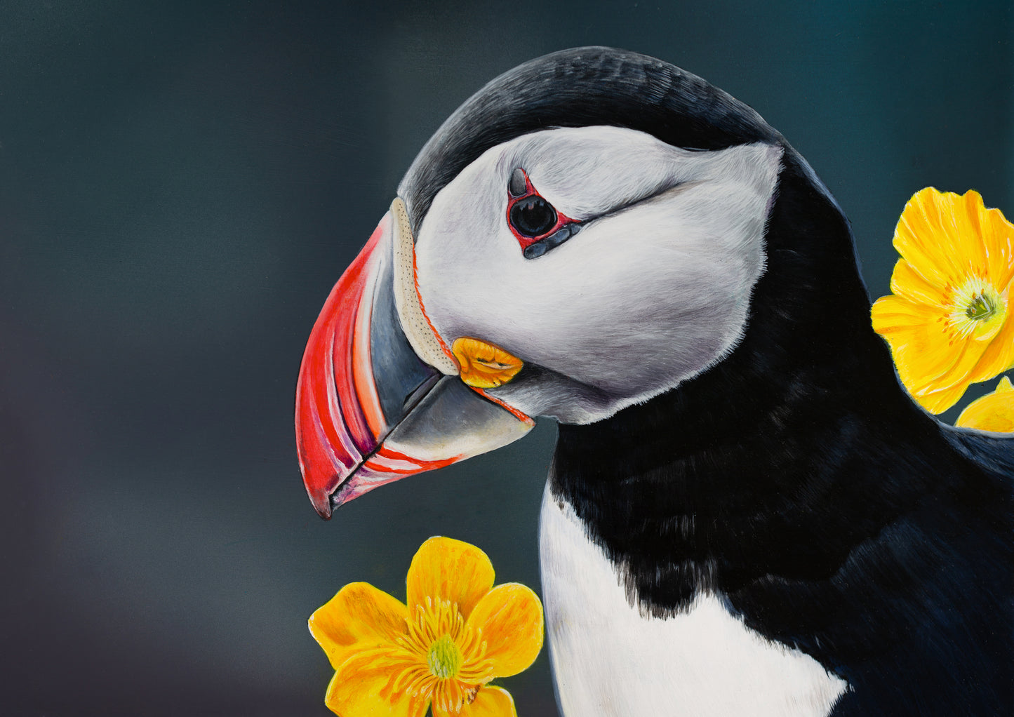 Puffin Portrait A4 (FRAMED OPTION) Giclee print