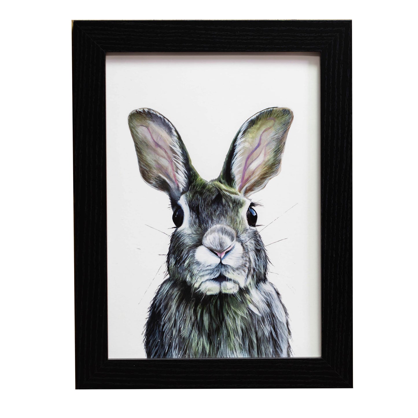 Rabbit Giclee (FRAMED OPTION) print