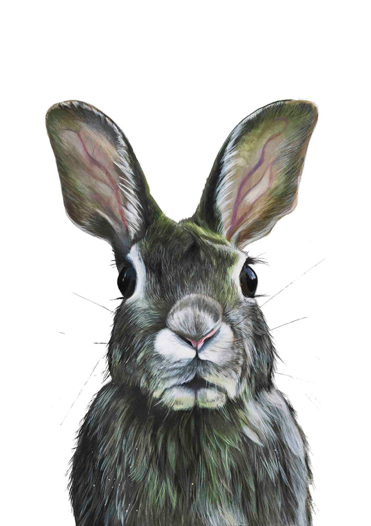 Rabbit Giclee (FRAMED OPTION) print